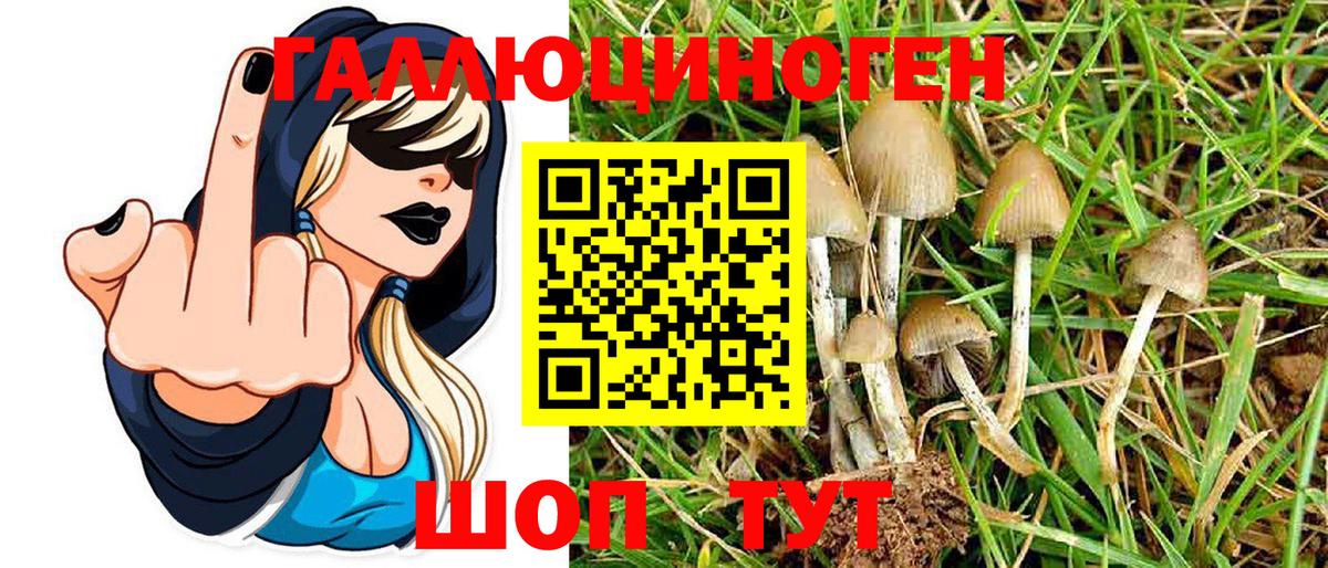 Галлюциногенные грибы Magic Shrooms  Вход с VPN  Псилоцибиновые грибы мухоморы  Смоленск 